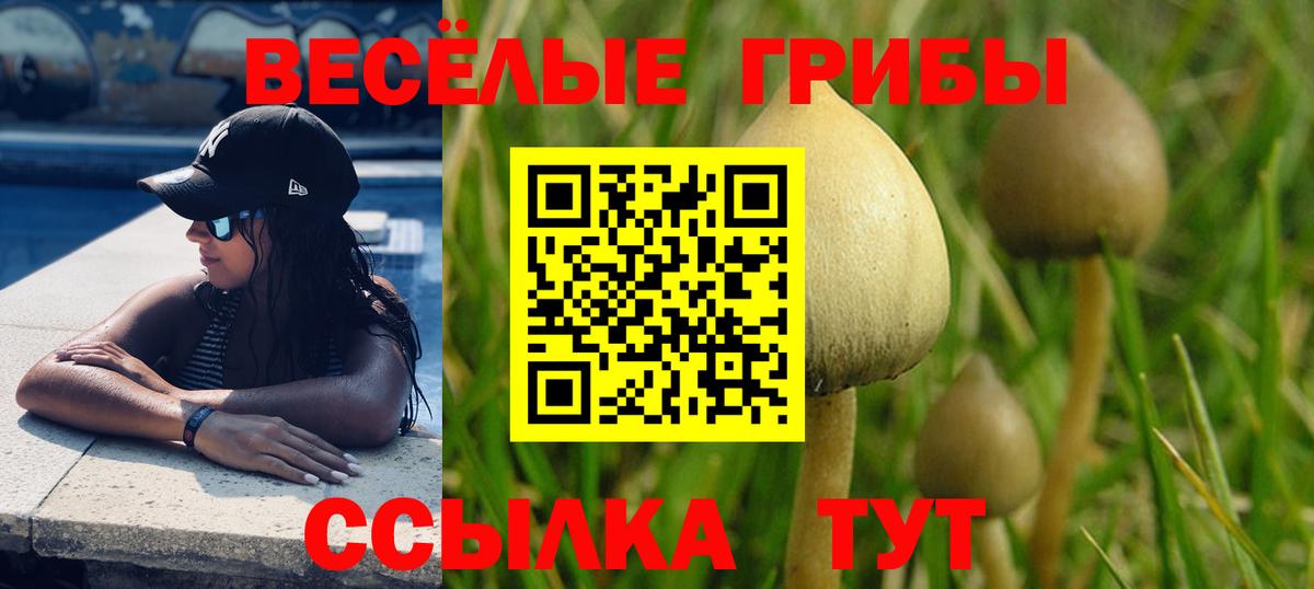 Южноуральск  Галлюциногенные грибы MAGIC MUSHROOMS  Галлюциногенные грибы мухоморы  Вход с VPN 