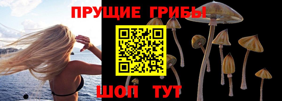 Галлюциногенные грибы прущие грибы Южноуральск